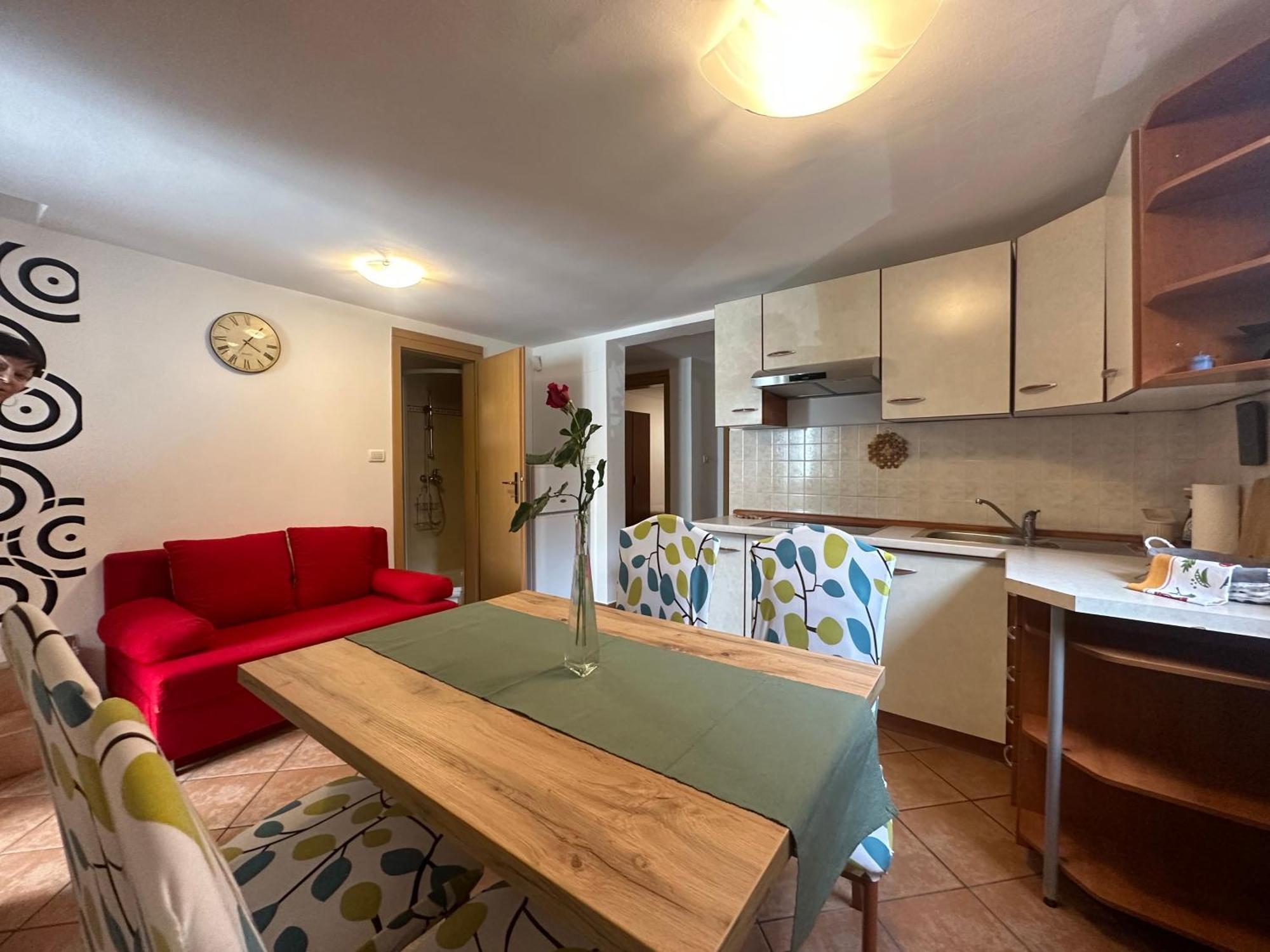 Apartma Dvor Milena 博维茨 外观 照片